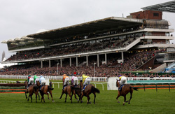 Cheltenham Racecourse