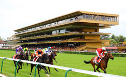 Longchamp Race Track in Paris