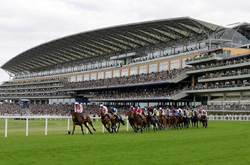 Ascott Racecourse in Berkshire