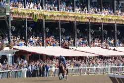 Saratoga Race Track in New York