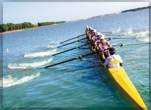 Rowing Team - Rowing Boat - Lake